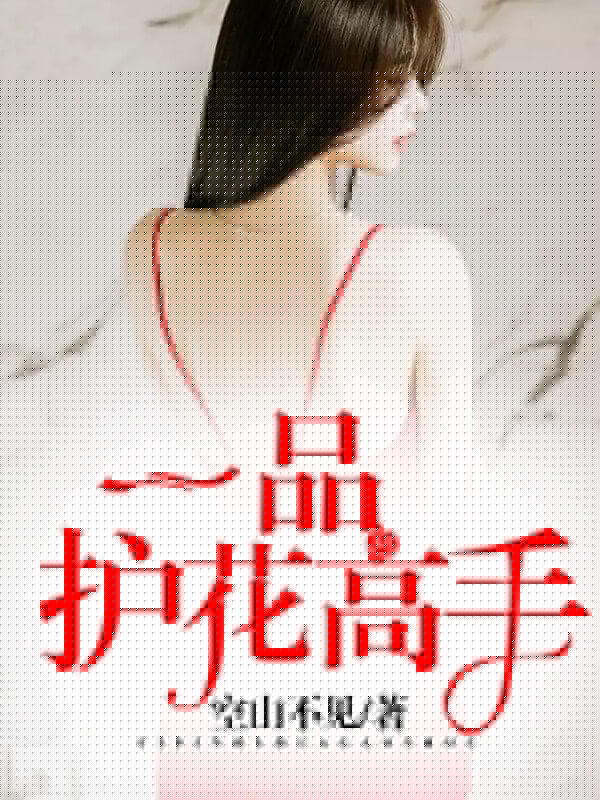 一品护花高手
