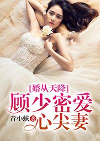 婚从天降:顾少密爱心尖妻