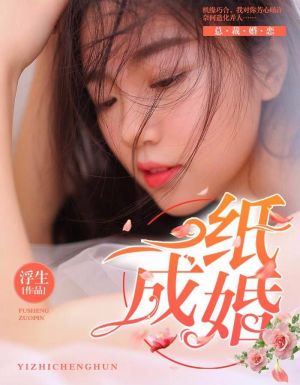 一纸成婚