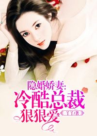 隐婚娇妻:冷酷总裁狠狠爱