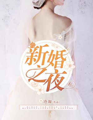 新婚之夜