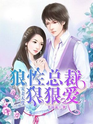宠妻无度:狼性总裁狠狠爱