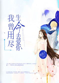 我曾用尽生命去爱你