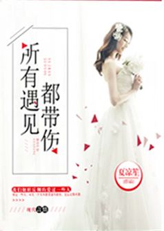 所有遇见都带伤