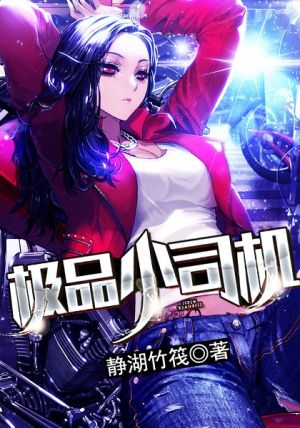 极品小司机