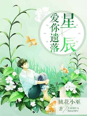 爱你遗落星辰