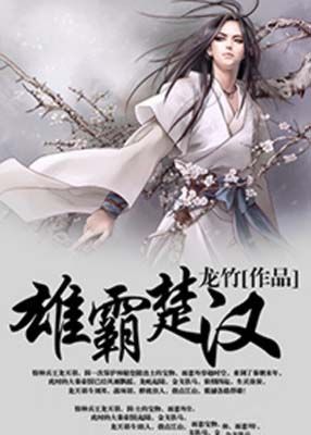 雄霸楚汉