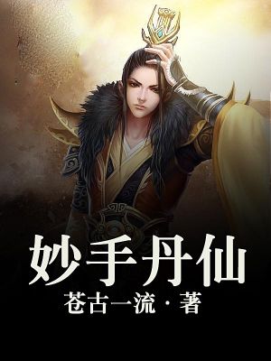 妙手丹仙