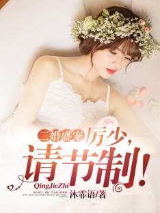 二婚盛宠:厉少,请节制!