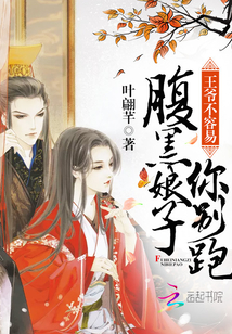 王爷不容易:腹黑娘子你别跑
