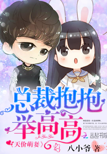 天价萌妻:总裁抱抱举高高